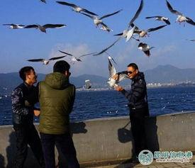 天津海鸥爆料事件真相视频,揭秘真相背后的惊人内幕  第3张