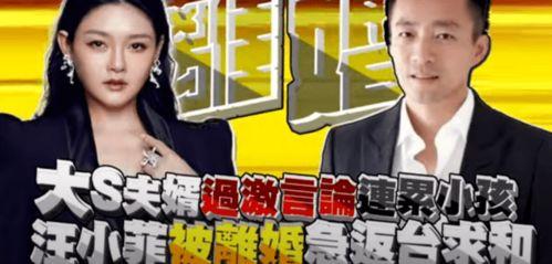 台媒大s最新爆料消息,娱乐圈背后惊人真相曝光  第2张