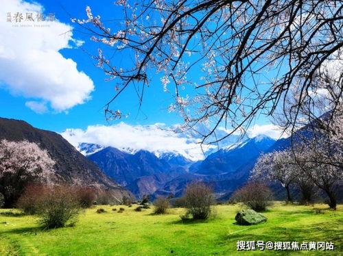 《蓝》在线观看,一场穿越时空的梦幻之旅  第3张