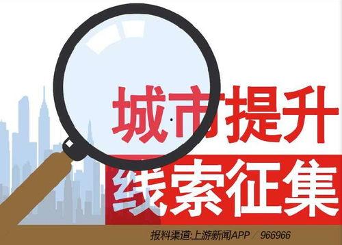 湛江新闻爆料热线官网,实时掌握湛江最新动态  第2张