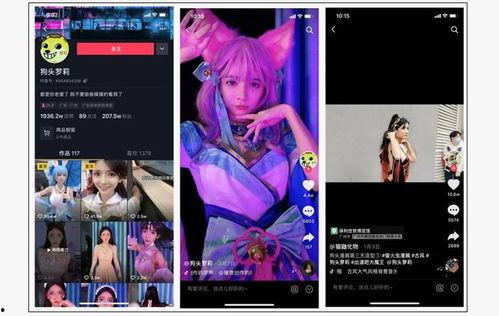 网红爆料视频网,网络红人幕后真相大曝光