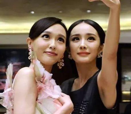 娱乐圈吃瓜闺蜜,揭秘明星间的“吃瓜”友谊  第2张