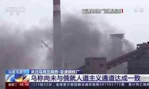 爆料亚速钢铁厂事件视频,惊心动魄的现场视频曝光  第2张