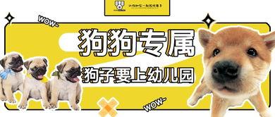 狗子今日爆料最新消息图片,最新热辣图片揭秘幕后真相  第3张