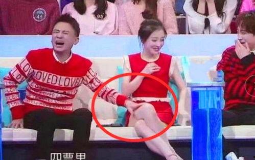 吃瓜娱乐综艺节目,揭秘热门综艺背后的娱乐盛宴  第2张