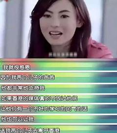 向太爆料谢霆锋视频,真相背后引人深思