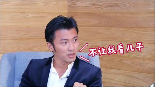 向太爆料谢霆锋视频,真相背后引人深思  第2张