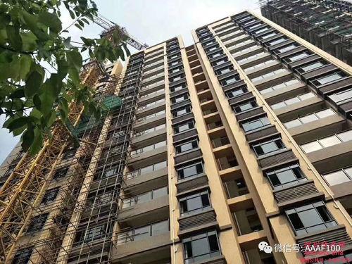 碧桂园爆料最新消息韩城房子漏水,业主维权呼声高涨  第2张