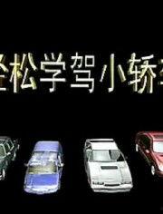 广州学车爆料视频大全最新,揭秘学车行业最新动态与内幕  第2张