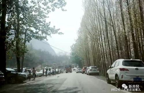 石家庄赵县最新爆料,揭秘石家庄这座古城的神秘故事  第3张