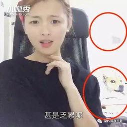 打工妹爆料视频,揭秘真实工作环境与待遇