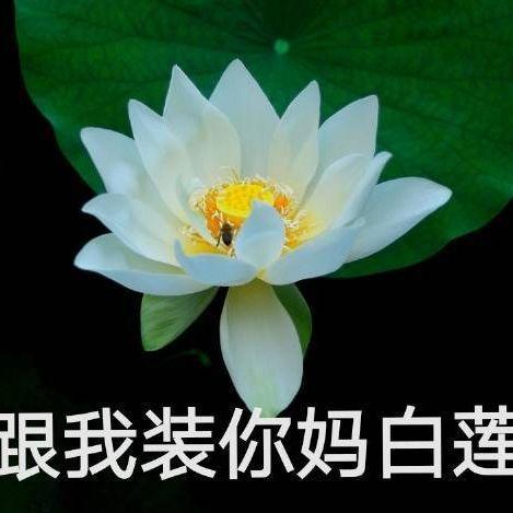 正能量网红吃瓜图片头像,网红吃瓜头像背后的故事与启示”  第2张