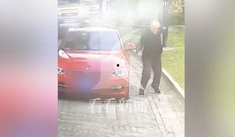 老伯碰瓷爆料视频大全下载,老伯碰瓷爆料视频大全下载解析  第3张