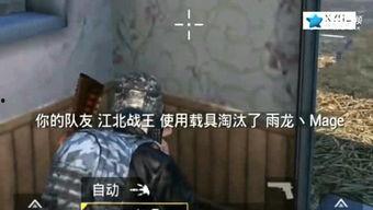 壮哥爆料吃鸡视频大全集,精彩瞬间回顾  第2张