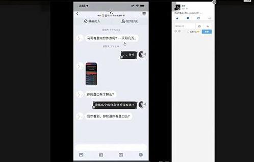 莎莉朋友圈爆料视频,一场意想不到的幕后大戏