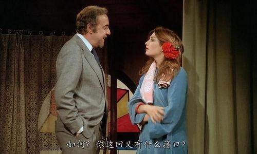 法国爱恋 在线观看,浪漫邂逅，在线见证爱情奇迹  第3张