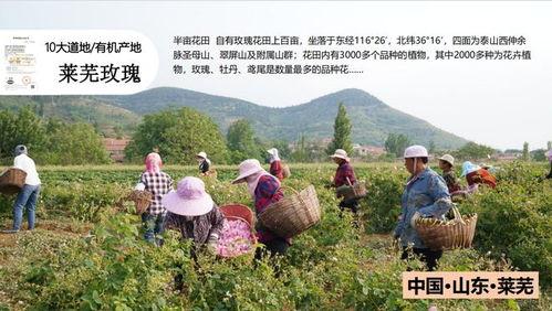爆料半亩花田事件视频,网友曝光惊人内幕  第3张