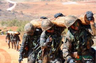 美国特种兵爆料新闻,真实战况与生存挑战