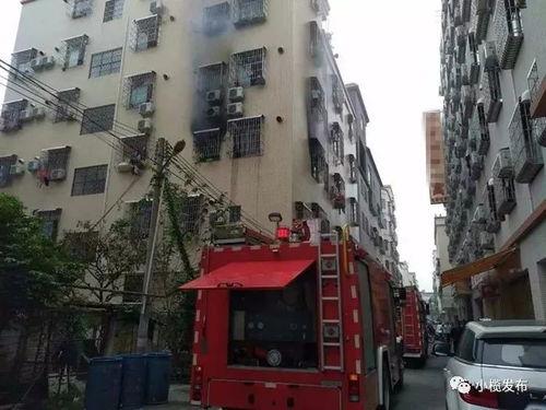 广东小榄镇怎么新闻爆料,聚焦民生热点，共筑和谐家园  第2张