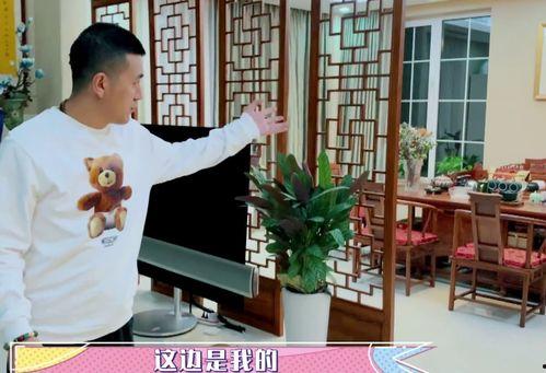 杨子家世爆料视频播放,视频播放揭示家族传奇