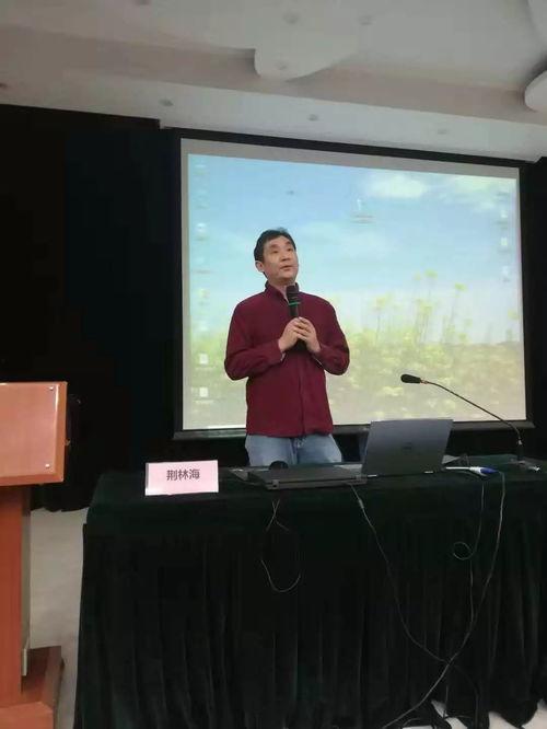 林海老师爆料视频大全,揭秘娱乐圈幕后真相  第3张