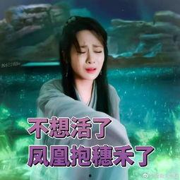 杨紫爆料润玉视频播放下载,独家视频播放下载大公开  第3张