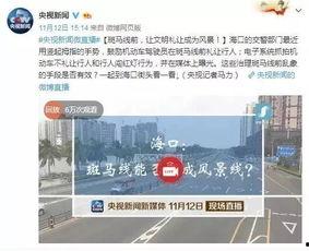 海口深度新闻爆料热线,揭秘热线背后的独家爆料故事  第2张