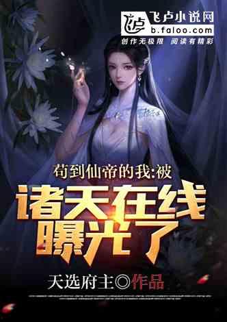 爆料视频小说,爆料背后的惊心动魄