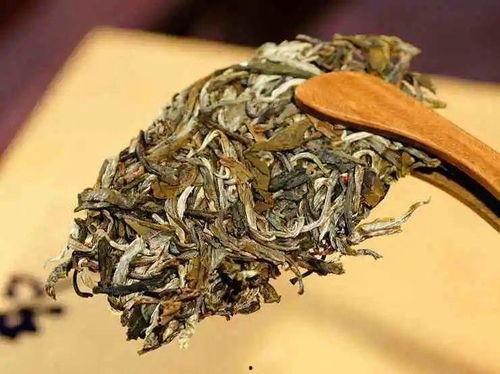 老唐爆料苦茶视频,老唐独家爆料带你领略茶艺之美  第2张