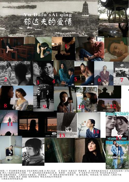 爆料赘婿的视频,揭秘赘婿背后的真实故事与情感纠葛