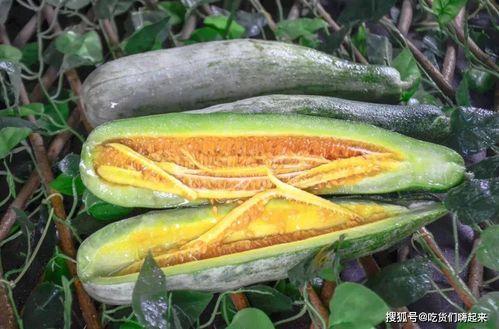 韩城网红吃瓜事件,揭秘网络舆论的风暴与真相  第2张