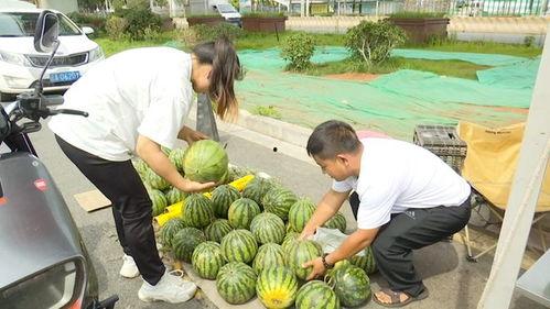 黑网爆料吃瓜视频江苏常州,吃瓜视频揭露惊人内幕  第3张