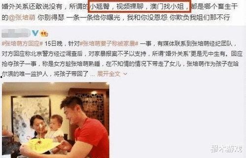 史学家被爆料了吗视频,揭秘历史真相背后的争议与真相  第2张