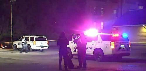 美国老总被爆料视频播放,真相与争议并存