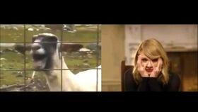 黄老板爆料唱歌视频,幕后唱歌瞬间，带你领略音乐魅力  第3张