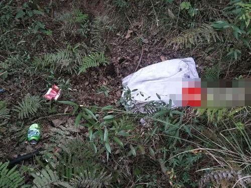 三奸1在线观看,激情陷阱，爱恨交织的悬疑之旅