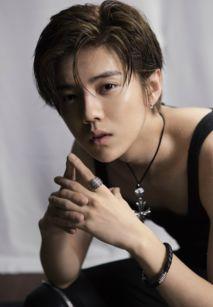 娱记爆料鹿晗无趣视频,娱乐圈的“高冷王子”  第3张