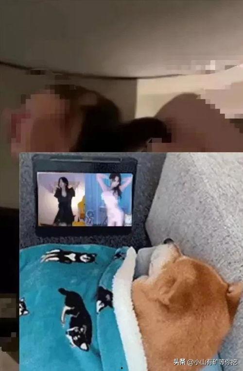 唐山爆料小伙事件视频播放,视频曝光引发社会关注 第2张 唐山爆料小伙事件视频播放,视频曝光引发社会关注 第2张