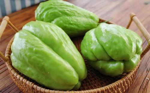 善堂网红吃瓜视频下载安装  第2张