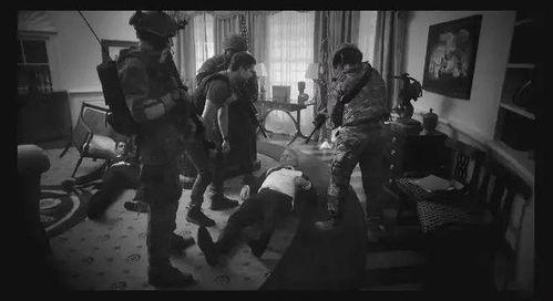 白宫英雄在线观看,在线观看，揭秘神秘特工传奇  第3张