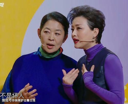 倪萍爆料手语老师视频全集,视频全集揭秘惊人内幕  第3张