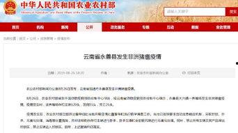 昭通爆料最新消息新闻网,最新消息全网热议，揭秘事件背后真相  第3张