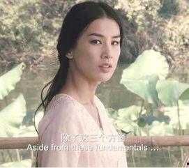 王菲爆料刘亦菲视频播放,刘亦菲幕后故事，视频播放引发热议  第2张