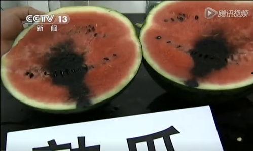 吃瓜娱乐揭秘吃瓜,吃瓜背后的真相与内幕  第3张