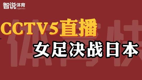 cctv3在线直播观看